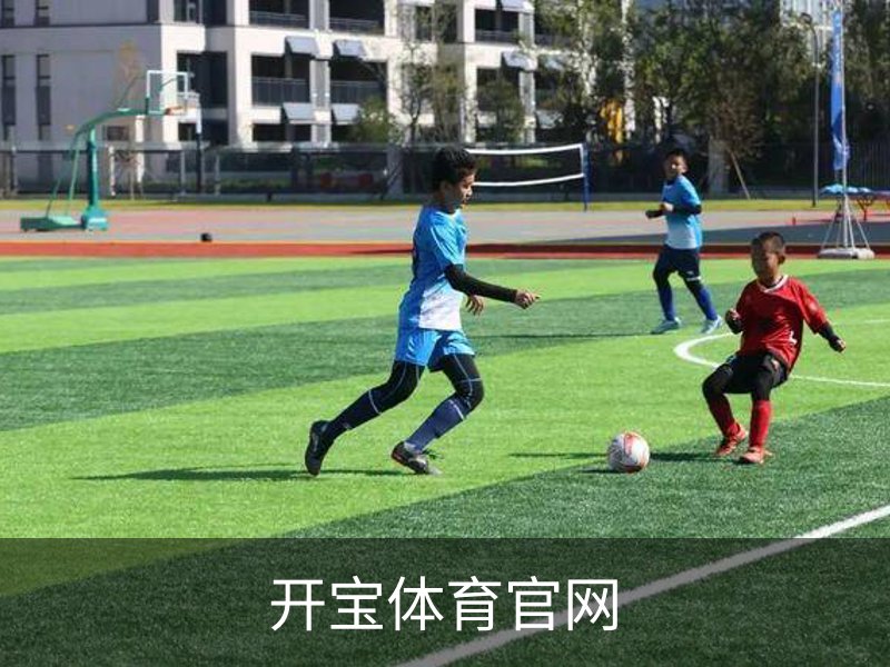 了解开宝体育官网